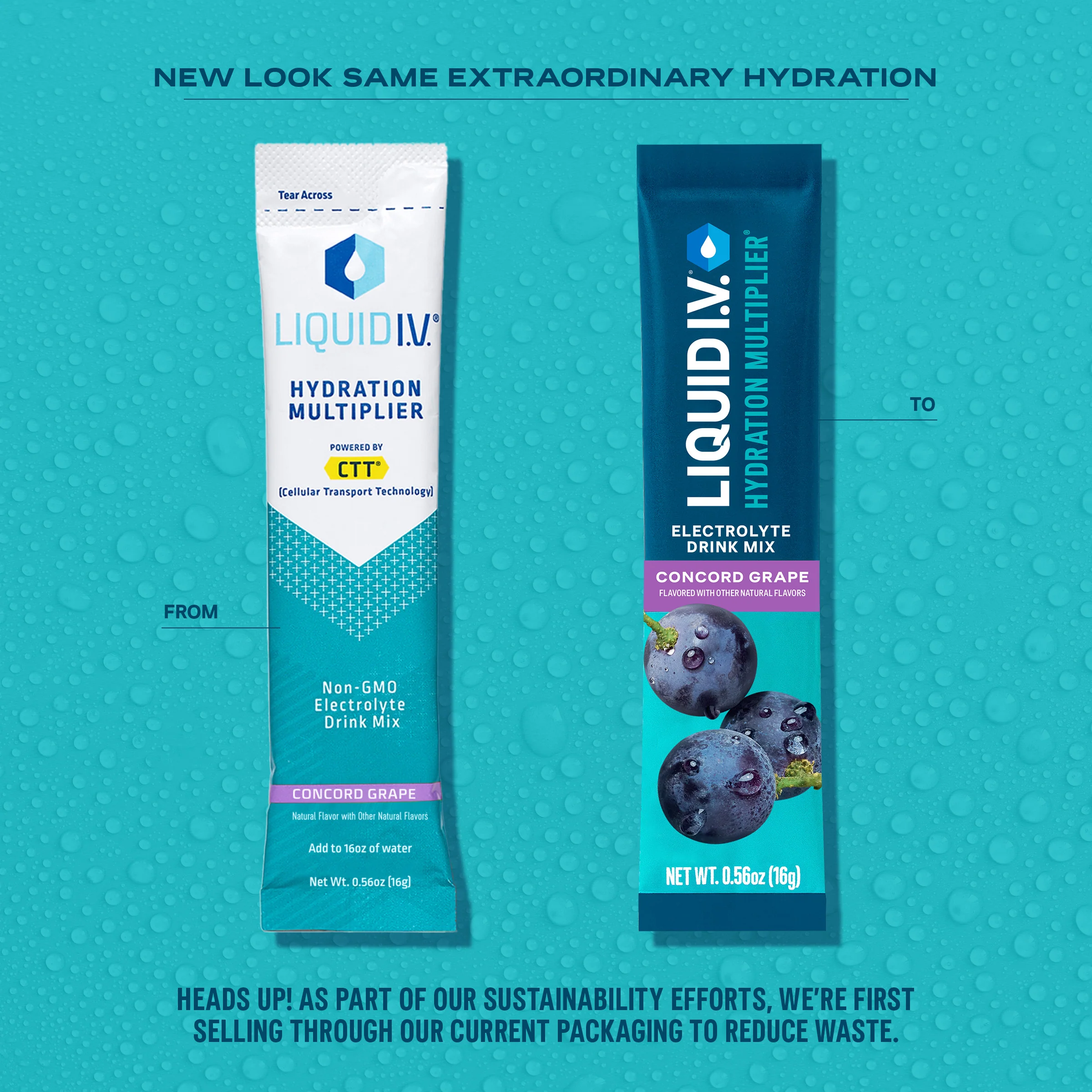 Concord Grape Hydration Multiplier - Image 4