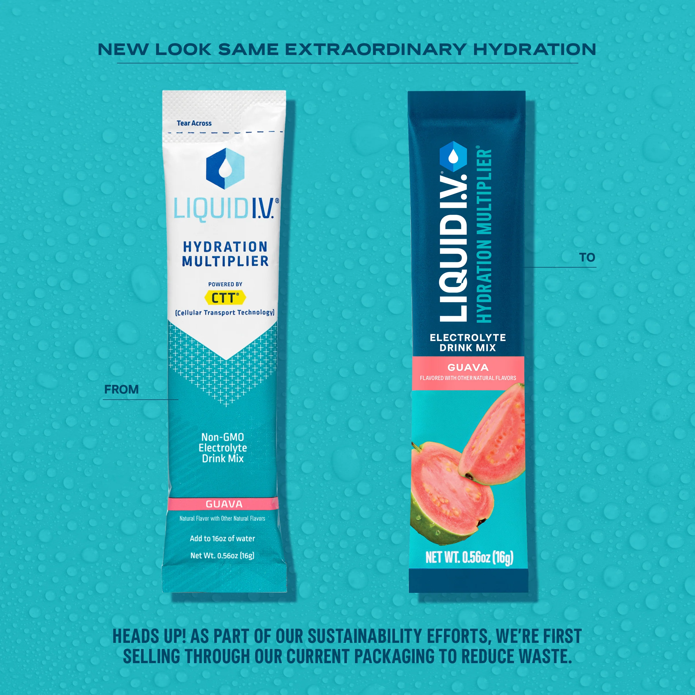 Guava Hydration Multiplier - Image 4