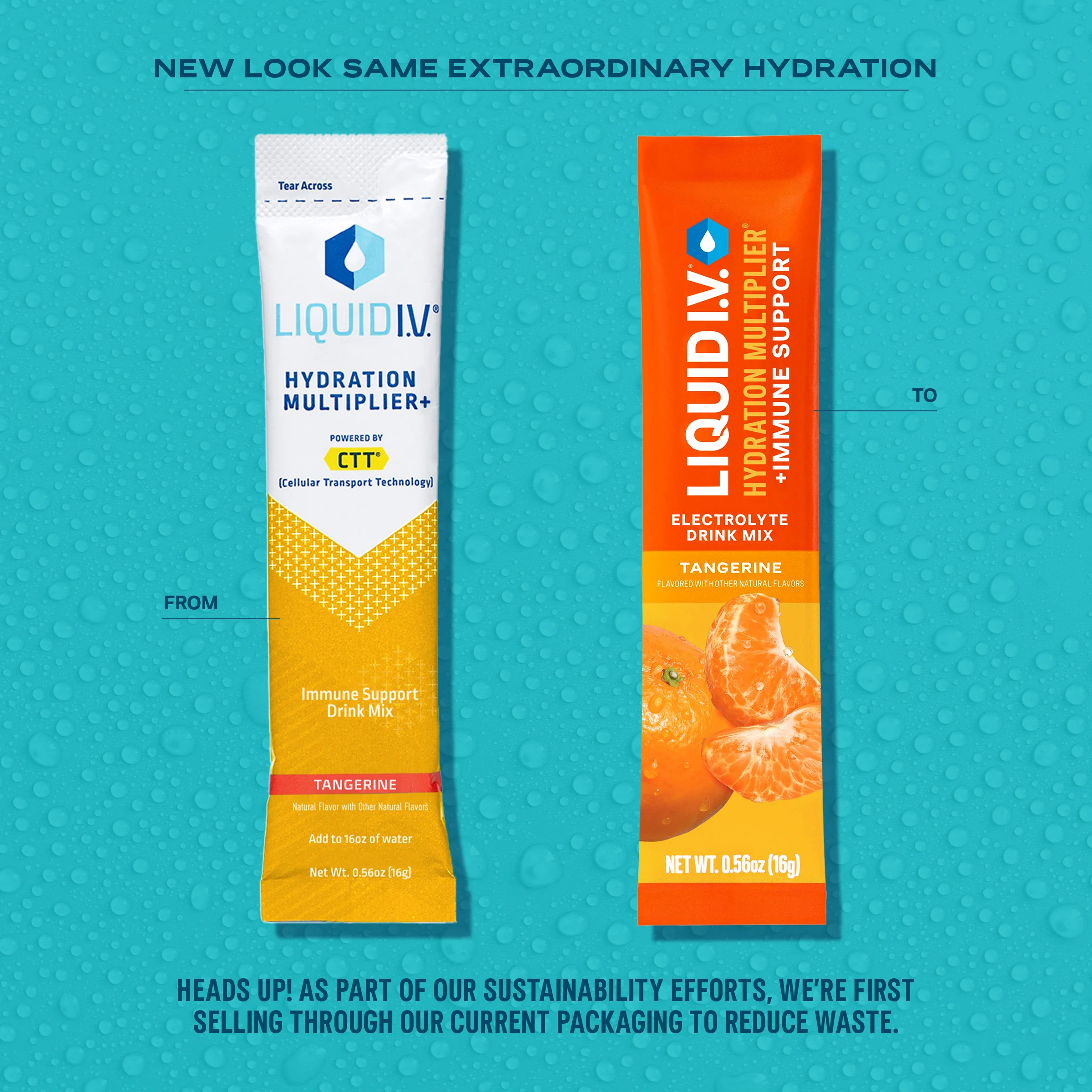 Tangerine Hydration Multiplier® + Immune Support - Image 4