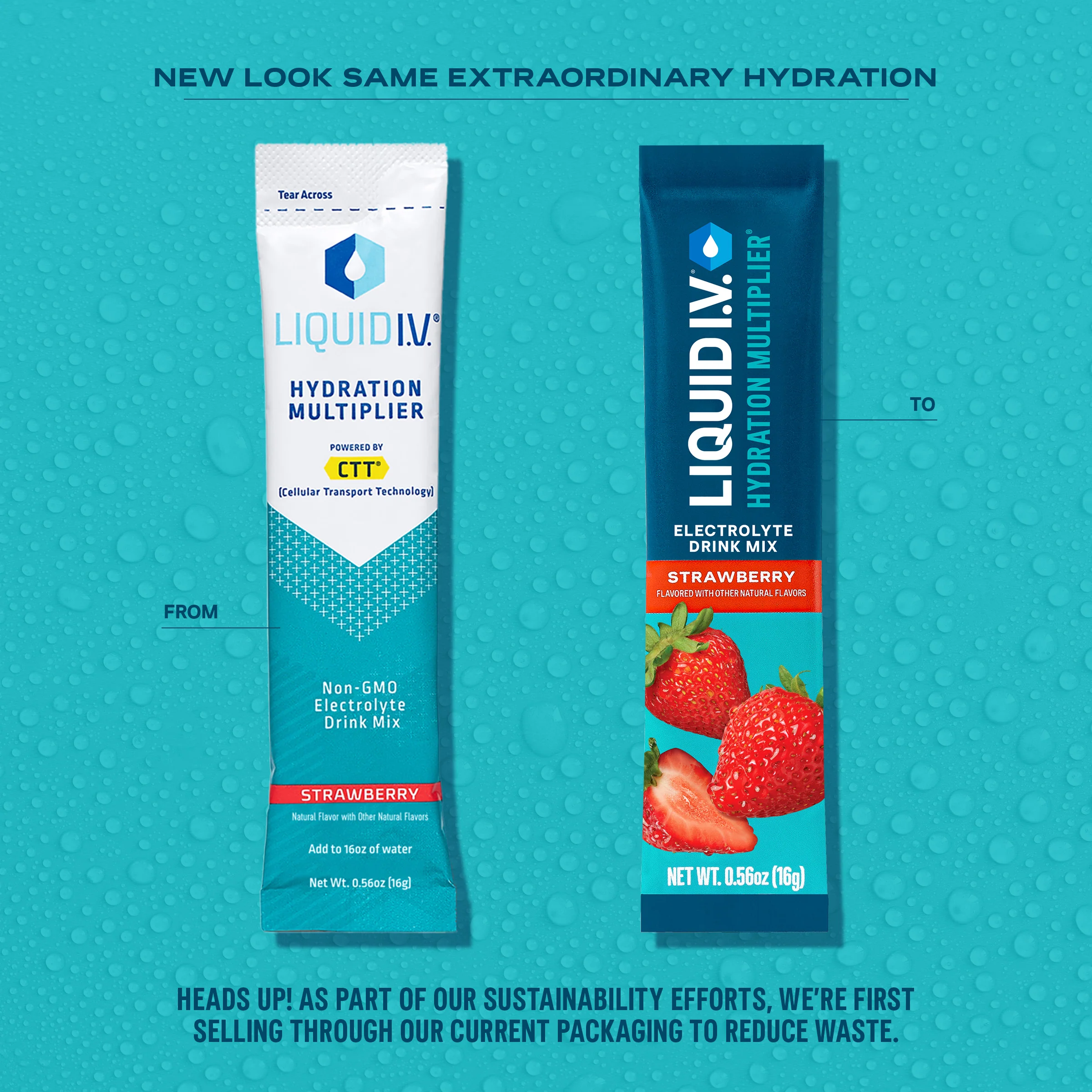 Strawberry Hydration Multiplier - Image 4